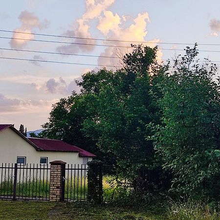 Green Little Cottage Danilovgrad Exteriör bild